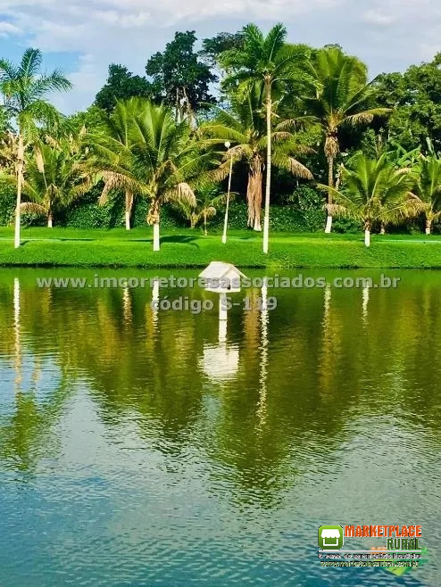 Sítio no Vale do Jequiriçá, Bahia, criação de peixes