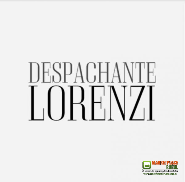 Despachante Lorenzi