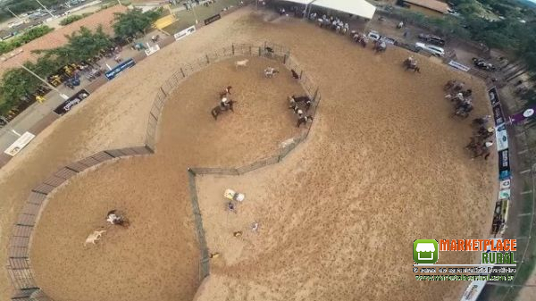 Ranch sorting e redondel de ferro