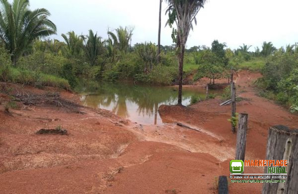 Terra para plantio em Rondônia