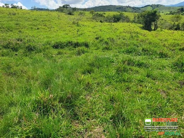 Fazenda em Caxambu, MG