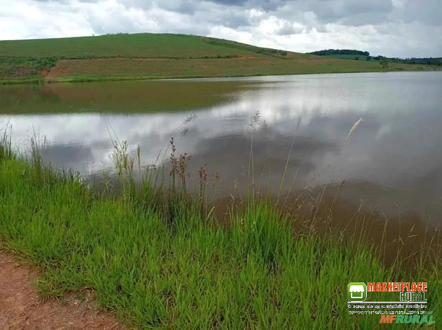 Fazenda Sul de Minas, MG