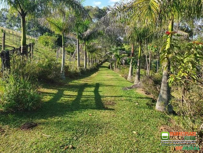 Fazenda Sul de Minas Gerais, MG