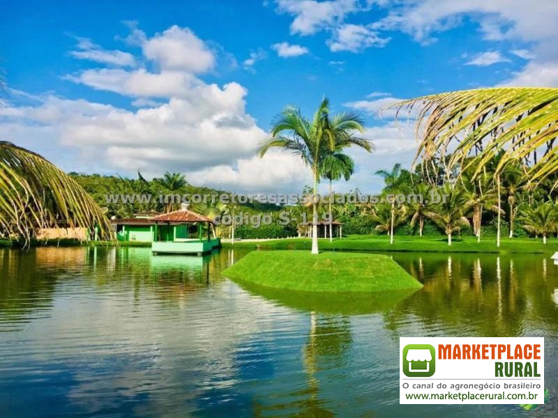 Sítio no Vale do Jequiriçá, Bahia, criação de peixes