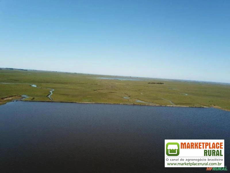 Fazenda no Uruguay (150km da fronteira com o Rio Grande do Sul)