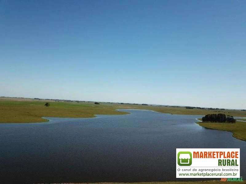 Fazenda no Uruguay (150km da fronteira com o Rio Grande do Sul)