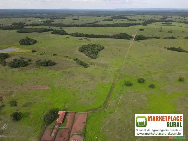 Fazenda em Crixas GO