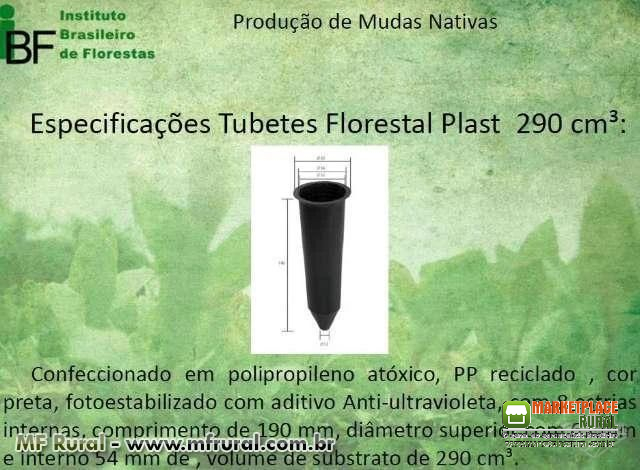 Tubetes Plásticos para Mudas Florestais, Seringueira, Cacau e Mogno Africano