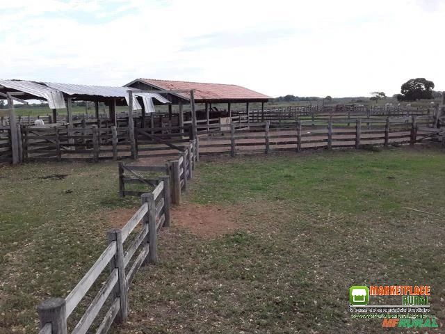 FAZENDA COM 88.000 HECTARES EM POCONÉ-MT