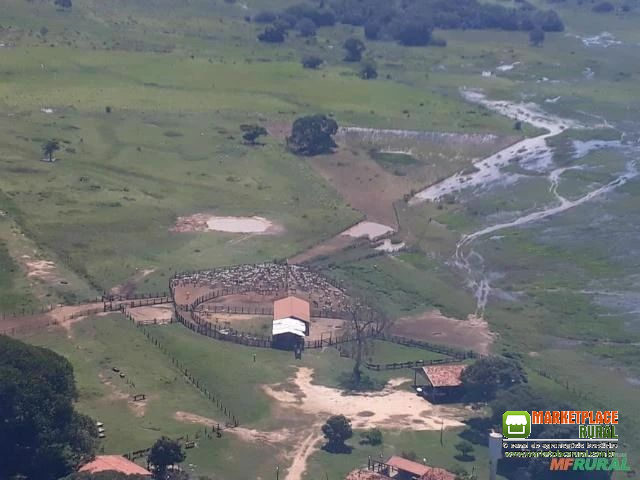 FAZENDA COM 88.000 HECTARES EM POCONÉ-MT