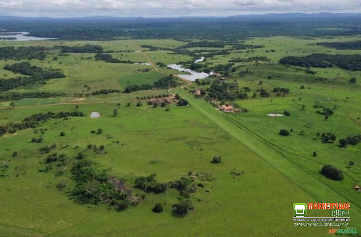 FAZENDA PECURÁRIA DUPLA APTIDÃO EM RONDOLÂNDIA-MT