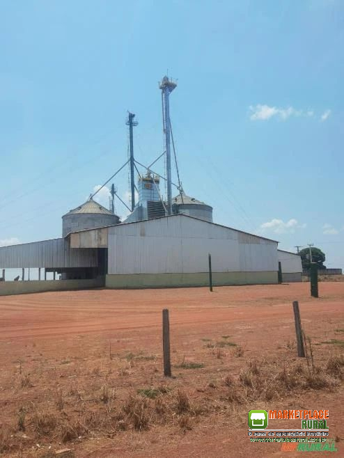 FAZENDA DUPLA APTIDÃO EM VILA BELA DA SANTÍSSIMA TRINDADE -MT