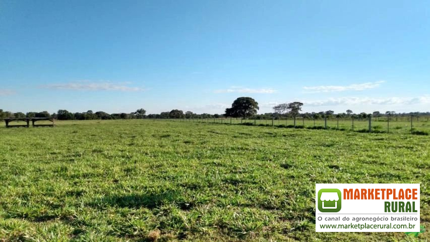 FAZENDA A VENDA DE 13,979 HA EM COCALINHO MT