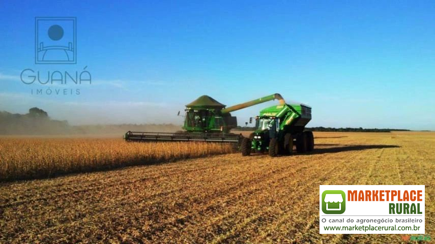 FAZENDA DE GRANDE PORTE AGRICULTURA EM MATO GROSSO MT