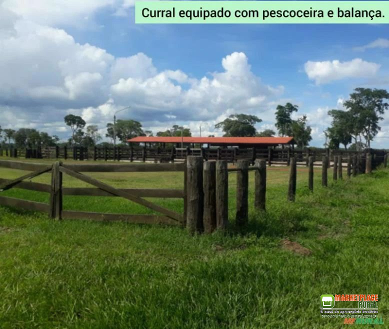 Fazenda dupla aptidão com 11.922 ha em Pontes e Lacerda-MT