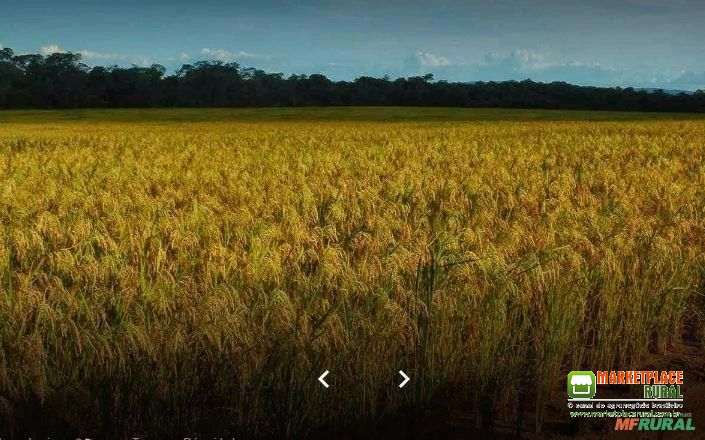 FAZENDA DUPLA APTIDÃO EM PLANALTO DA SERRA - MT