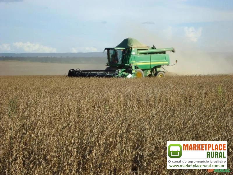 FAZENDA DUPLA APTIDÃO EM PLANALTO DA SERRA - MT