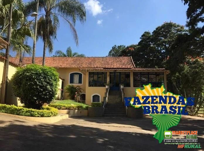 Fazenda em Cambuquira/MG com 115,26 hectares: Café, Gado para Corte, Leite.