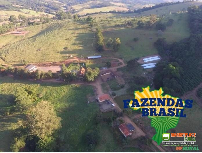 Fazenda em Cambuquira/MG com 115,26 hectares: Café, Gado para Corte, Leite.