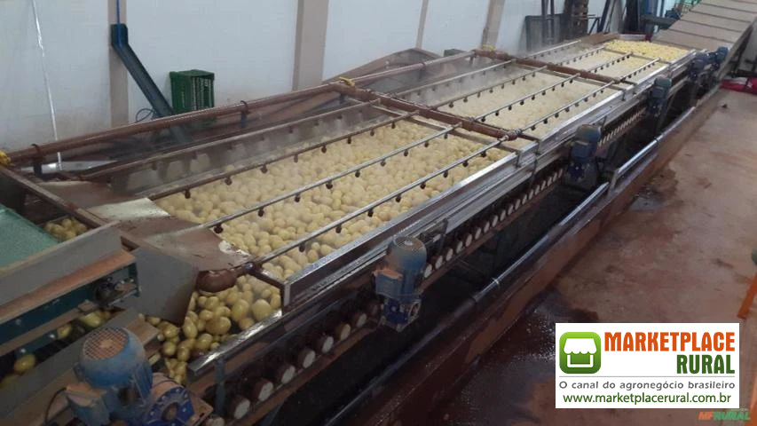 MÁQUINA PARA BENEFICIAMENTO E CLASSIFICAÇÃO DE BATATA