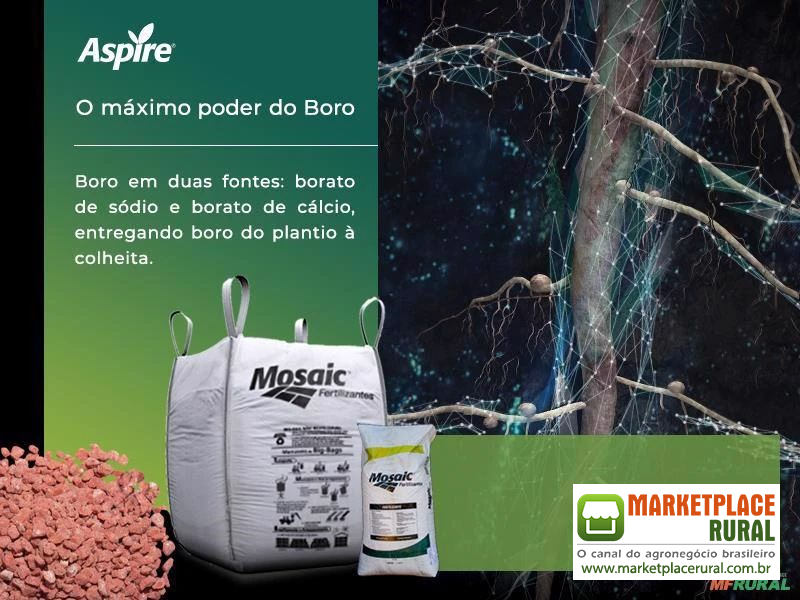 Fertilizante As: Potassio e Boro em duas formas, no mesmo grânulo. | Mosaic Fertilizantes