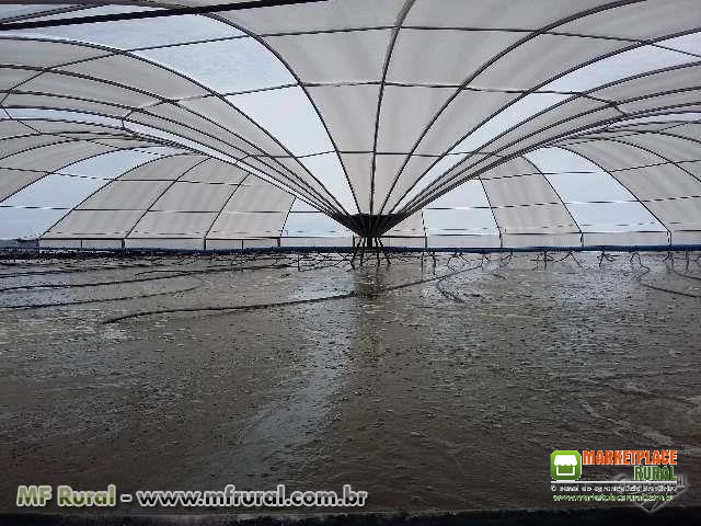 TANQUES MONTÁVEIS PARA PEIXES CAMARÕES E ARMAZENAMENTO DE ÁGUA - TODOS OS TIPOS