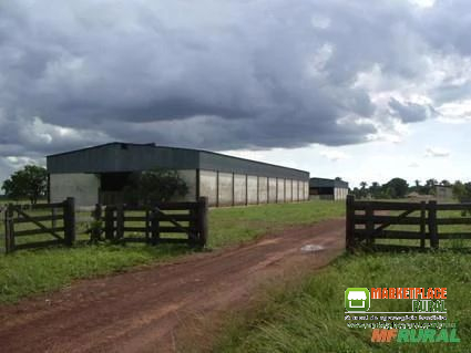 Fazenda de 83.346 hectares em São Felix do Araguaia