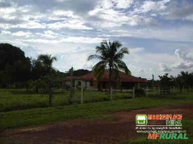 Fazenda de 83.346 hectares em São Felix do Araguaia