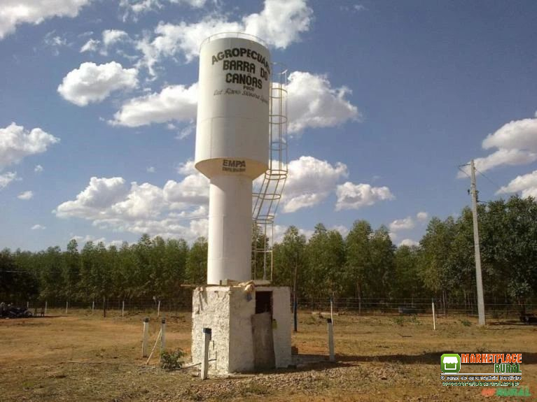 Fazenda com 300 hectares de outorga protocolada - dupla aptidão - Buritizeiro MG