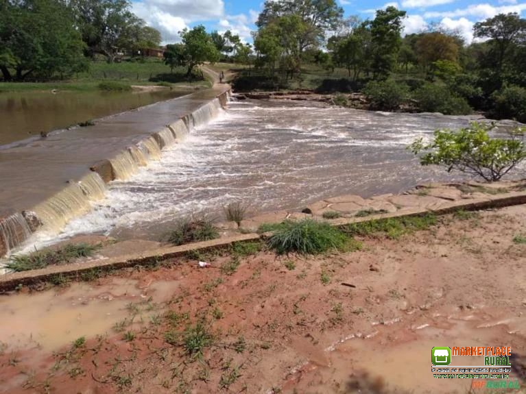 Fazenda com 300 hectares de outorga protocolada - dupla aptidão - Buritizeiro MG