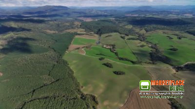 FAZENDA PARA SOJA À VENDA - Total: 174 hectares - Área útil: 130 hectares - Valor: R$ 14.000.000,00