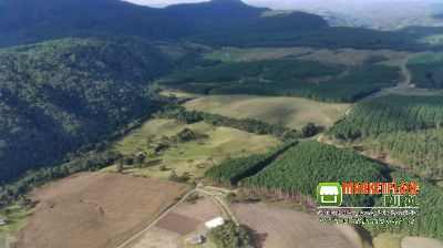 FAZENDA PARA SOJA À VENDA - Total: 174 hectares - Área útil: 130 hectares - Valor: R$ 14.000.000,00