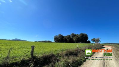 FAZENDA PARA SOJA À VENDA - Total: 174 hectares - Área útil: 130 hectares - Valor: R$ 14.000.000,00