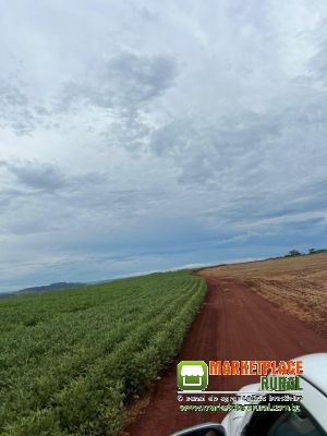 Fazenda