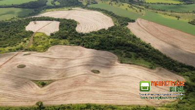 Fazenda