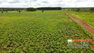 Fazenda