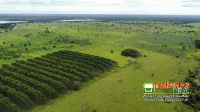 Fazenda