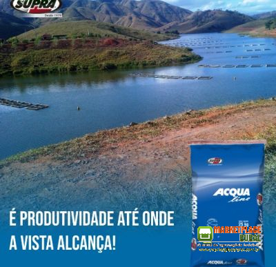 RAÇÃO PARA PEIXES 25KG 8MM e 12MM Anzol de Ouro Acqua