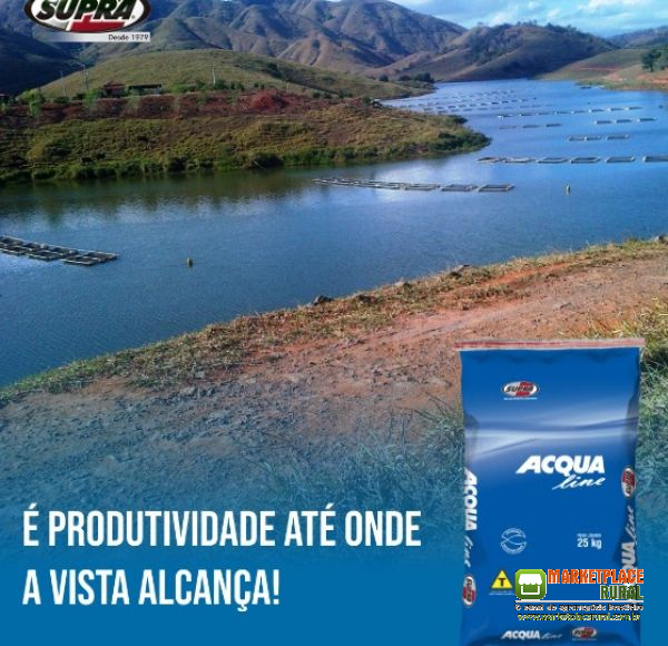 RAÇÃO PARA PEIXES 25KG 8MM e 12MM Anzol de Ouro Acqua