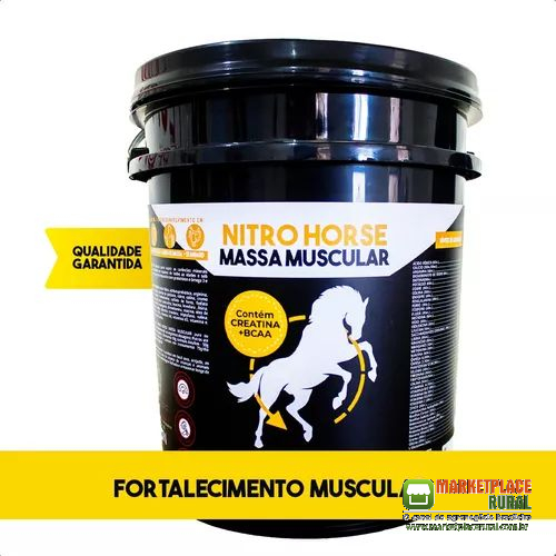 Cavalo Muscular®: O Suplemento Definitivo para o Desempenho Atlético e a Saúde do seu Cavalo!