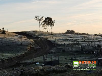 Fazenda em Doutor Pedrinho SC