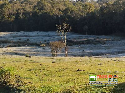 Fazenda em Doutor Pedrinho SC