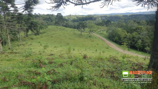 Fazenda em Doutor Pedrinho SC