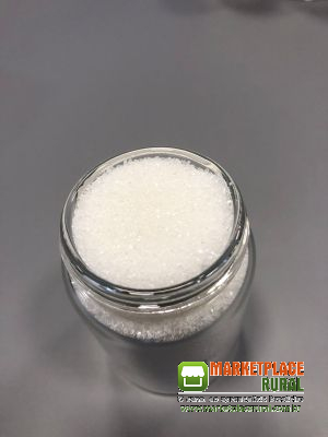 Açúcar para exportação - Sugar for Export