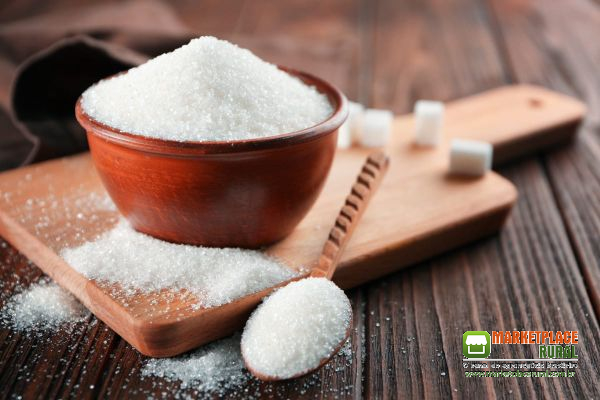 Açúcar para exportação - Sugar for Export