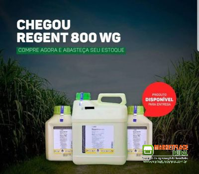 Regent 800wg 1kg