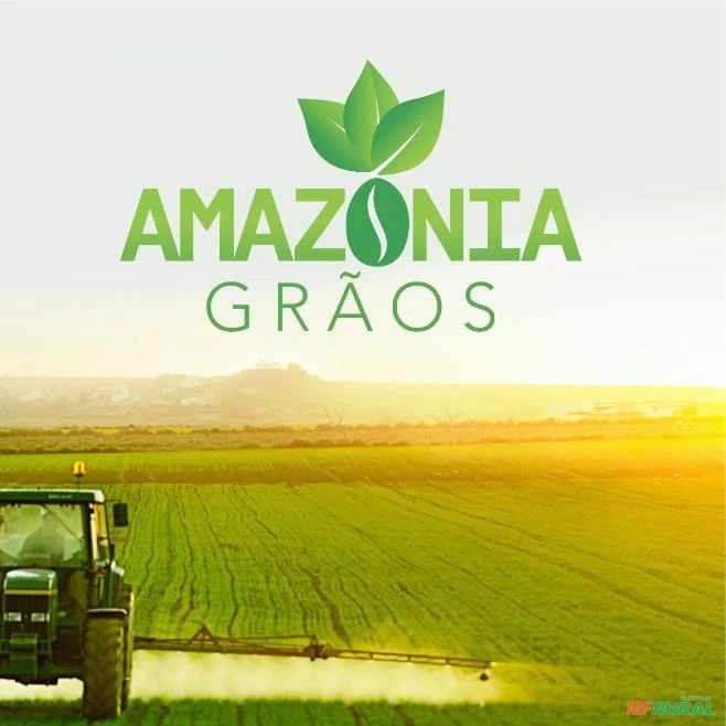 AMAZONIA GRAOS